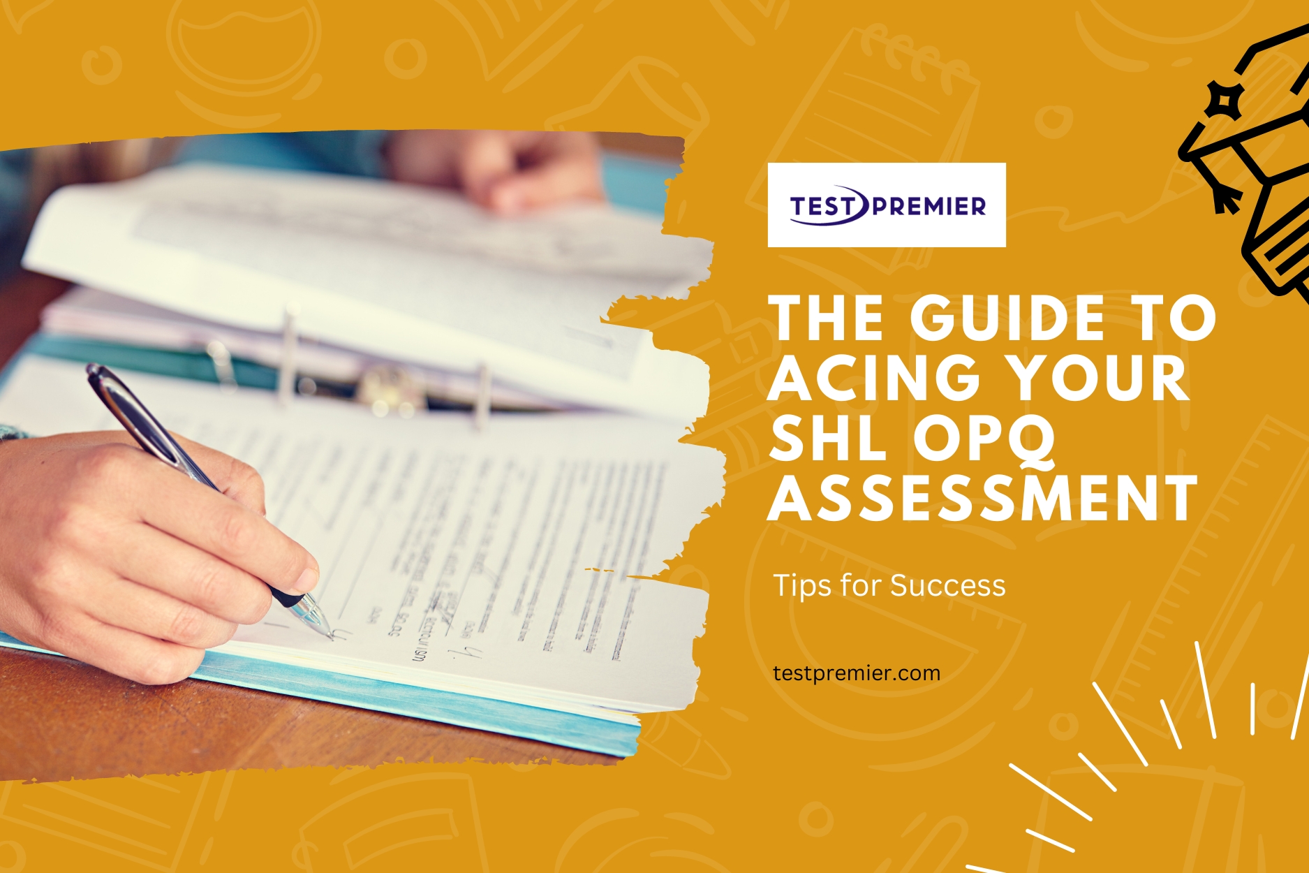 SHL OPQ assessment